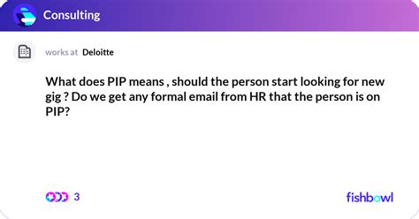 what does pip mean.
